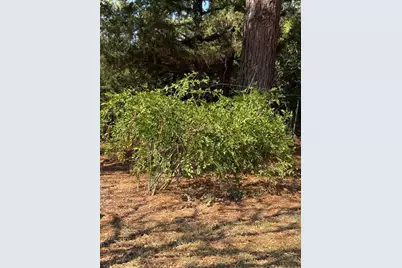 205 Cr 1820, Grapeland, TX 75844 - Photo 27