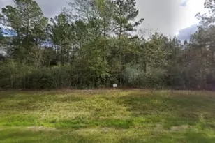 15678 Fire Sky Rd, Willis, TX 77378 - Photo 1