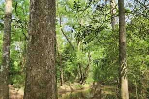 Tbd Ward Rd, Cleveland, TX 77328 - Photo 13