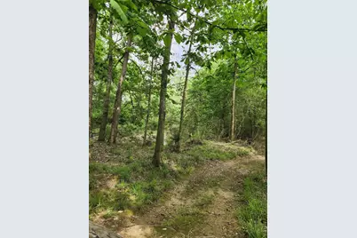 Tbd Ward Road, Cleveland, TX 77328 - Photo 9