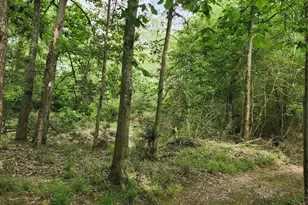 Tbd Ward Rd, Cleveland, TX 77328 - Photo 9