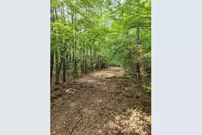 Tbd Ward Road, Cleveland, TX 77328 - Photo 3