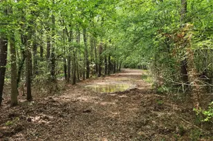 Tbd Ward Rd, Cleveland, TX 77328 - Photo 3