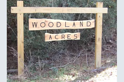 Tbd Lake Shore Drive, Grapeland, TX 75844 - Photo 7