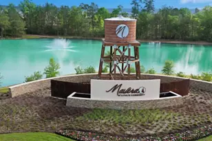 15985 Blass Valley Dr, Conroe, TX 77304 - Photo 19