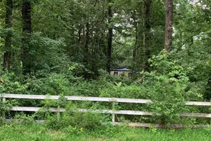 31110 Golden Rod Ln, Magnolia, TX 77354 - Photo 1