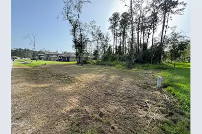 0 Republic Road, New Caney, TX 77357 - Photo 3