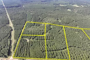 5 County Road 1325, Warren, TX 77664 - Photo 1