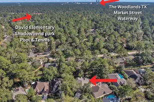 18 Skyland Pl, The Woodlands, TX 77381 - Photo 21