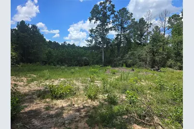 26131 Crown Ranch Boulevard, Montgomery, TX 77316 - Photo 5