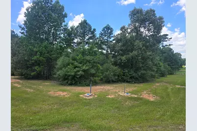 26131 Crown Ranch Boulevard, Montgomery, TX 77316 - Photo 3