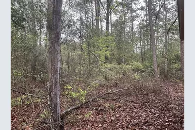 384 Sandy Lane, Ivanhoe, TX 75979 - Photo 7