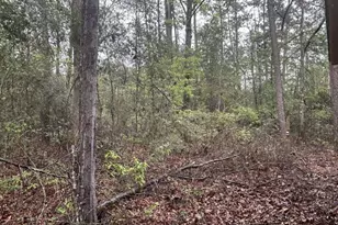 384 Sandy Ln, Ivanhoe, TX 75979 - Photo 7