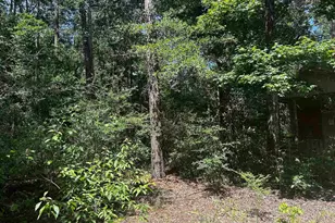 384 Sandy Ln, Ivanhoe, TX 75979 - Photo 5