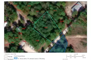 Lot 19 S Old Groveton Rd, Onalaska, TX 77360 - Photo 1