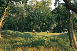 10123 Regal Mist Dr, Missouri City, TX 77459 - Photo 7