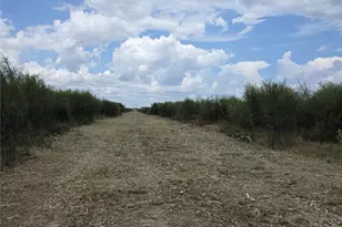 36847 Richard Frey 1-7 Rd, Hempstead, TX 77445 - Photo 7