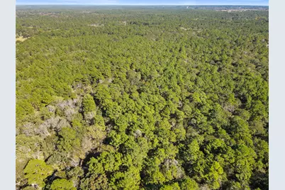 Tbd Chandler Lane, Huntsville, TX 77320 - Photo 3