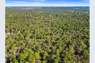 Tbd Chandler Lane, Huntsville, TX 77320 - Photo 7