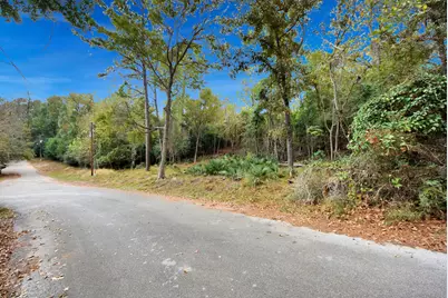 Lot 37 Loper Lake Drive, Livingston, TX 77351 - Photo 3