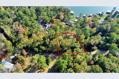 Lot 37 Loper Lake Drive, Livingston, TX 77351 - Photo 9