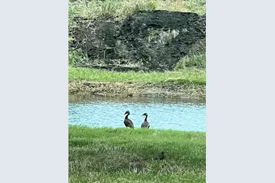 10250 Jenny Lynn Lane, Chappell Hill, TX 77426 - Photo 5