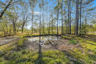 212 County Rd 2202, Cleveland, TX 77327 - Photo 35