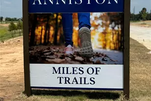 26211 Yellow Sage Ln, Katy, TX 77493 - Photo 21