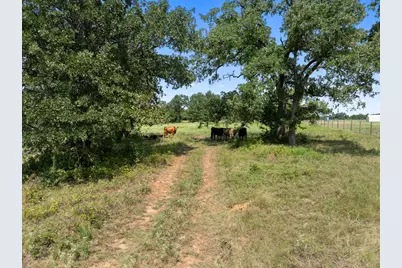 Tbd Cazey Loop, Franklin, TX 77856 - Photo 5