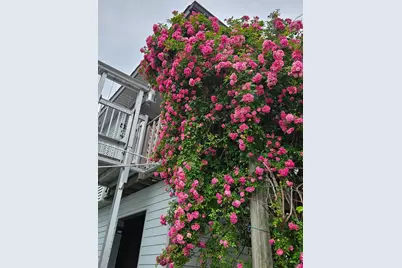 14 S Flamingo Street, La Marque, TX 77568 - Photo 7