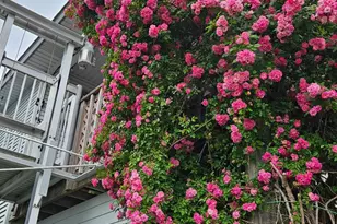 14 S Flamingo St, La Marque, TX 77568 - Photo 7