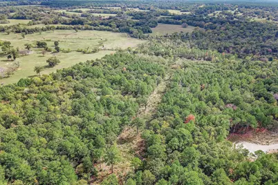 Tract 53 Ranches At Buckhorn Creek, Crockett, TX 75835 - Photo 9