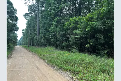 00 Bill Monroe Road, Livingston, TX 77351 - Photo 3