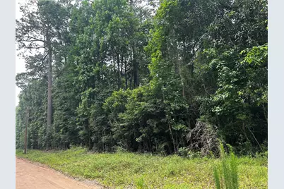 00 Bill Monroe Road, Livingston, TX 77351 - Photo 5