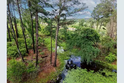 Tbd Highway 90 N, Bedias, TX 77831 - Photo 5