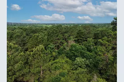 Tbd Highway 90 N, Bedias, TX 77831 - Photo 11