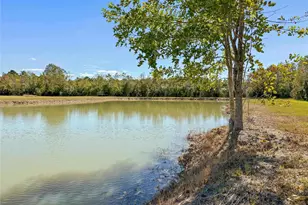 5850 Sh 61, Devers, TX 77538 - Photo 33