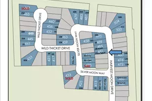 481 Harvest Moon Dr, Katy, TX 77493 - Photo 17