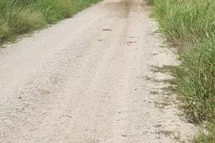 00 County Road 654, Kosse, TX 76653 - Photo 3