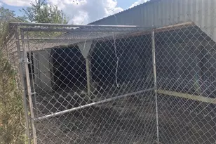 10910 Hwy 36, Needville, TX 77461 - Photo 23