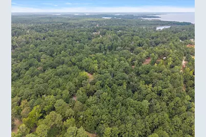 0 Rods Road, Hemphill, TX 75948 - Photo 5