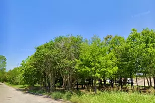 3110 Gray St, Houston, TX 77004 - Photo 11