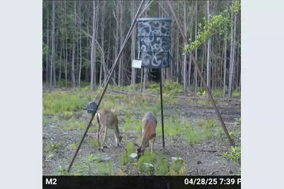 00000 Langham, Kountze, TX 77625 - Photo 5