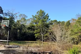 719 County Rd 3880, Cleveland, TX 77328 - Photo 11