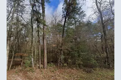 10936 Royal Magnolia, Conroe, TX 77303 - Photo 3