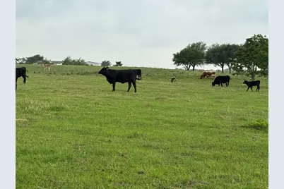 5848 Mieth Road, Sealy, TX 77474 - Photo 9