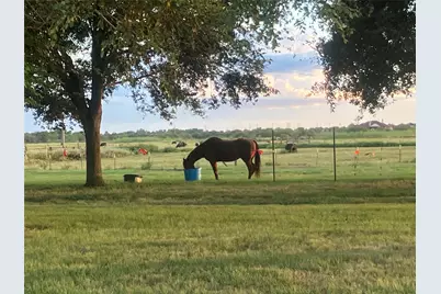 5848 Mieth Road, Sealy, TX 77474 - Photo 17