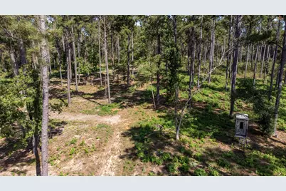 Tbd Farm To Market 1745 N, Colmesneil, TX 75938 - Photo 47