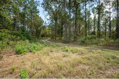 Tbd Farm To Market 1745 N, Colmesneil, TX 75938 - Photo 45