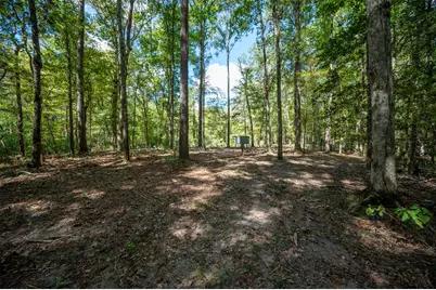 Tbd Farm To Market 1745 N, Colmesneil, TX 75938 - Photo 11
